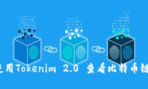 如何使用Tokenim 2.0 查看比特币链通道？