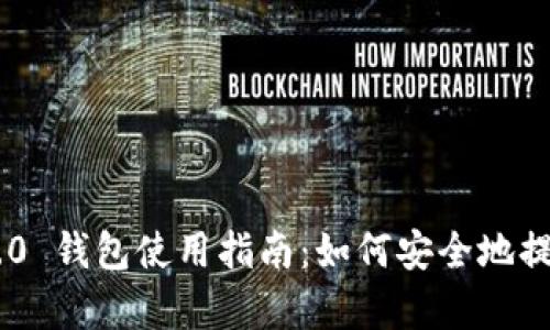 Tokenim 2.0 钱包使用指南：如何安全地提前输入密码