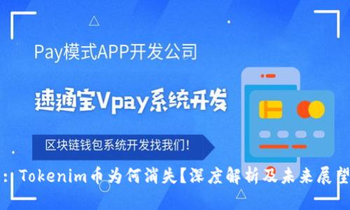 : Tokenim币为何消失？深度解析及未来展望