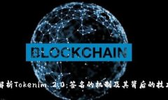深入解析Tokenim 2.0：签名的
