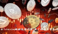 如何解决Tokenim地址充错问