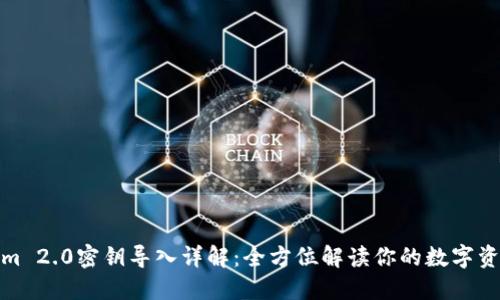 Tokenim 2.0密钥导入详解：全方位解读你的数字资产管理