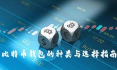 比特币钱包的种类与选择
