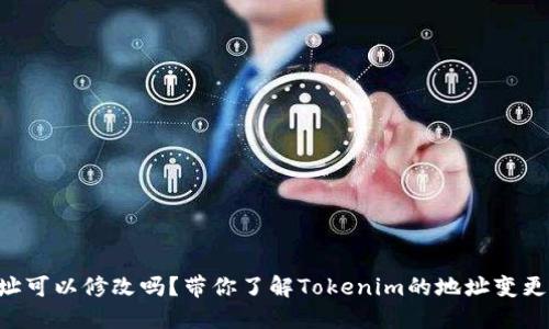 Tokenim地址可以修改吗？带你了解Tokenim的地址变更规则与风险