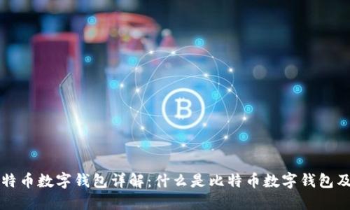 ### 比特币数字钱包详解：什么是比特币数字钱包及其重要性