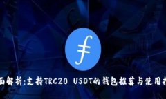全面解析：支持TRC20 USDT的钱包推荐与使用指南