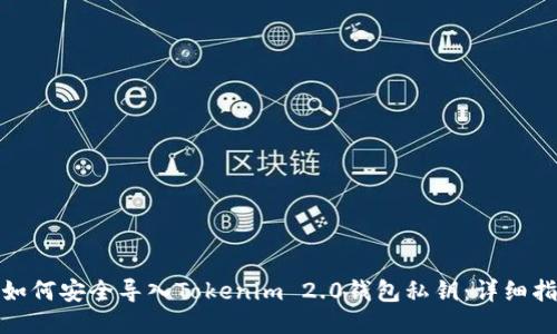 : 如何安全导入Tokenim 2.0钱包私钥：详细指南