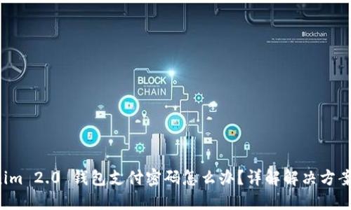 忘记 Tokenim 2.0 钱包支付密码怎么办？详解解决方案与预防技巧