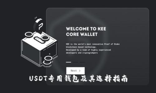 USDT专用钱包及其选择指南