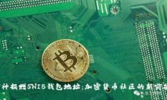 V神捐赠SHIB钱包地址：加密货币社区的新突破