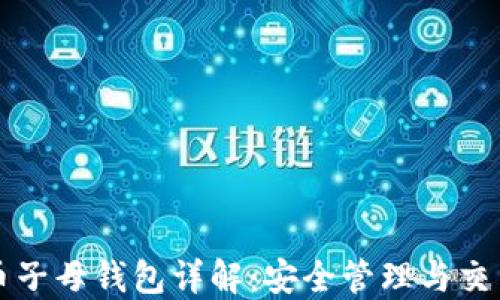 
比特币子母钱包详解：安全管理与交易技巧