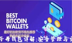 比特币子母钱包详解：安全管理与交易技巧