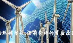 Tokenim币的现状分析：没有价格的背后原因与未来
