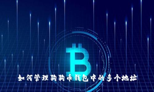 如何管理狗狗币钱包中的多个地址