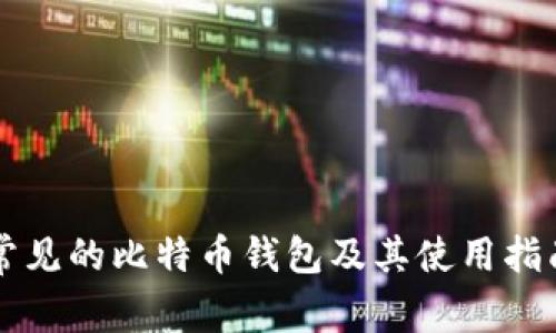 常见的比特币钱包及其使用指南