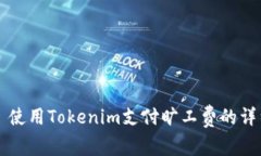 ### 使用Tokenim支付旷工费的详细指南