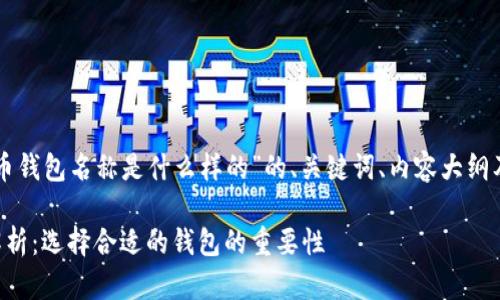 以下是围绕“比特币钱包名称是什么样的”的、关键词、内容大纲及相关问题的信息。

比特币钱包名称解析：选择合适的钱包的重要性