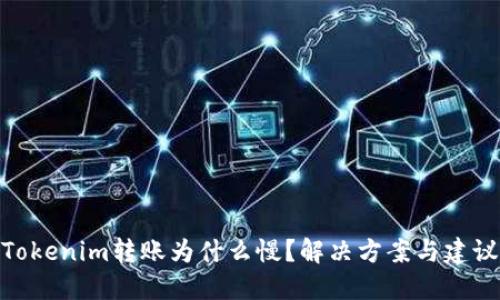 Tokenim转账为什么慢？解决方案与建议