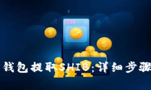 如何使用TP钱包提取SHIB：详细步骤与注意事项