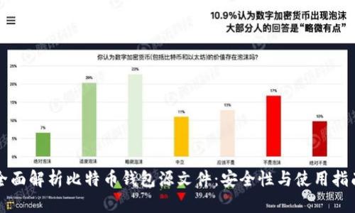 全面解析比特币钱包源文件：安全性与使用指南