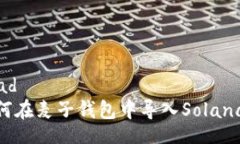 dead如何在麦子钱包中导入Solana链