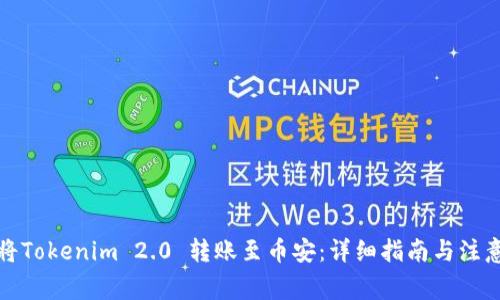 如何将Tokenim 2.0 转账至币安：详细指南与注意事项
