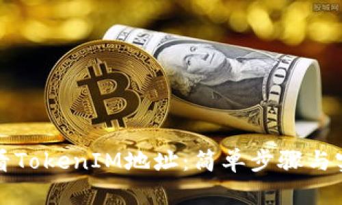 如何查看TokenIM地址：简单步骤与实用技巧