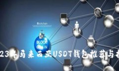 2023年马来西亚USDT钱包推荐与指南