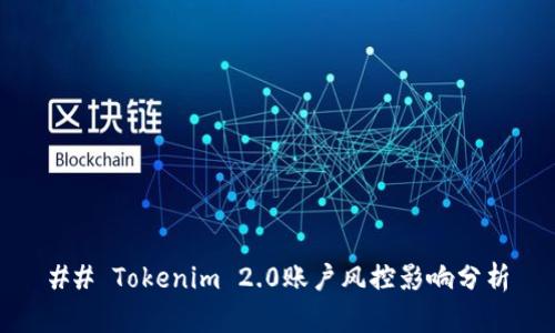 ## Tokenim 2.0账户风控影响分析
