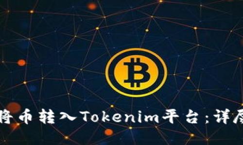 如何将币转入Tokenim平台：详尽指南