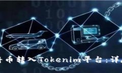 如何将币转入Tokenim平台：详尽指南