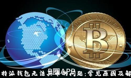 
解决比特派钱包无法买币的问题：常见原因及解决方法