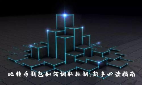 比特币钱包如何调取私钥：新手必读指南