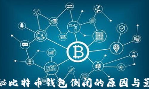 
揭秘比特币钱包倒闭的原因与影响