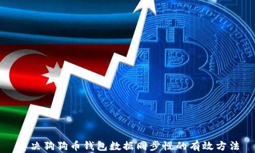 
解决狗狗币钱包数据同步慢的有效方法