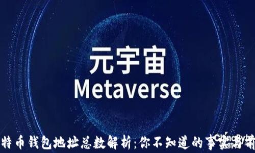 
比特币钱包地址总数解析：你不知道的事实与前景