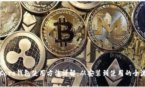 比特币Core钱包使用方法详解：从安装到使用的全流程指南