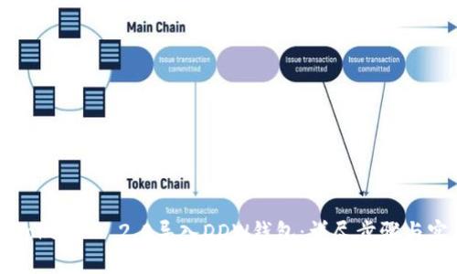 如何将TokenIM 2.0导入DDW钱包：详尽步骤与实用指南