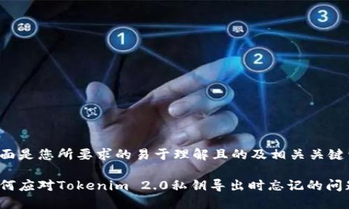 下面是您所要求的易于理解且的及相关关键词。

如何应对Tokenim 2.0私钥导出时忘记的问题