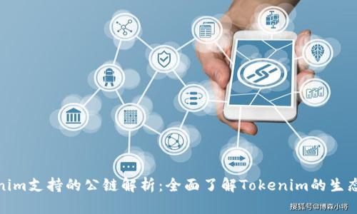 Tokenim支持的公链解析：全面了解Tokenim的生态系统