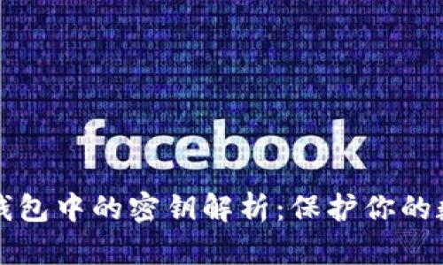 比特币钱包中的密钥解析：保护你的数字资产