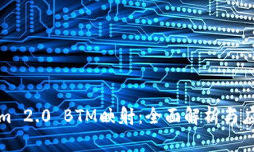 Tokenim 2.0 BTM映射：全面解析与应用指南