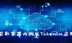 在国内如何获取苹果内测版Tokenim应用的详尽指南