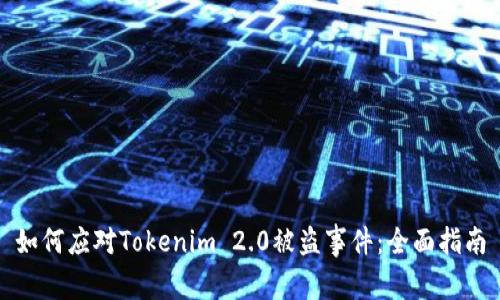 如何应对Tokenim 2.0被盗事件：全面指南