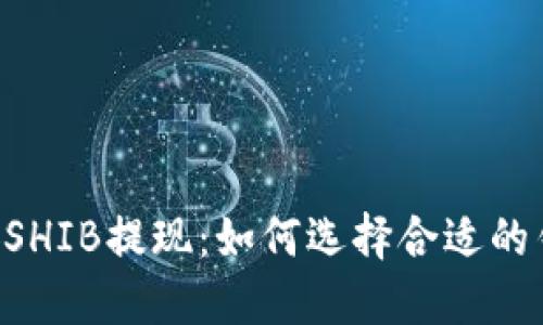 币安SHIB提现：如何选择合适的钱包？