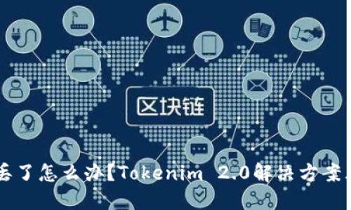 手机丢了怎么办？Tokenim 2.0解决方案大揭秘