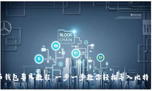 比特币钱包导入教程：一步一步教你轻松导入比特币钱包