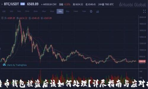 
比特币钱包被盗后该如何处理？详尽指南与应对措施