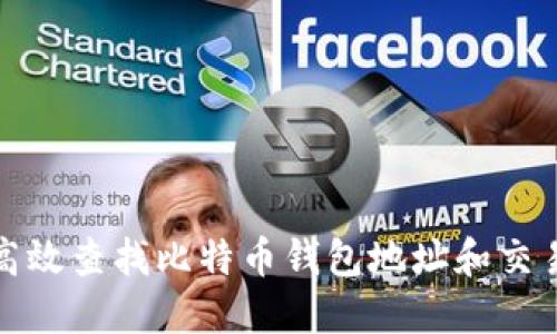 如何高效查找比特币钱包地址和交易历史