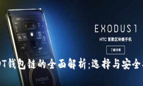 USDT钱包链的全面解析：选择与安全指南